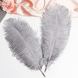 THARAHT Gray Ostrich Feathers 12pcs Large Natural