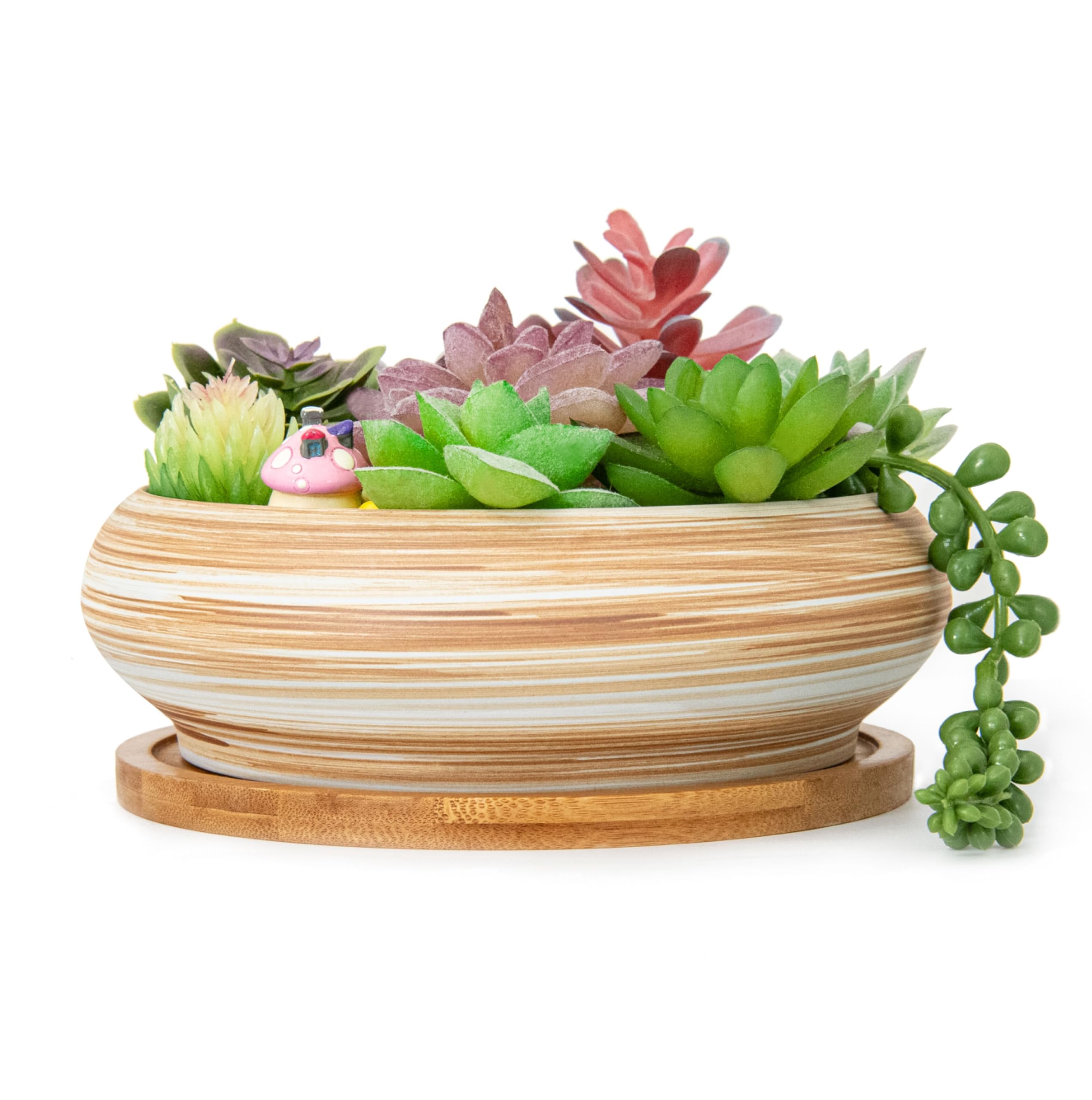 ARTKETTY Succulent Plant Pots - 18.5CM Large Bonsai Pot with Drainage Tray, Shallow Succulent Planters for Indoor Plants Decorative Flower Cactus Planter Bowl — image 1