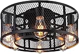 Ohniyou Cage Ceiling Fan with Light