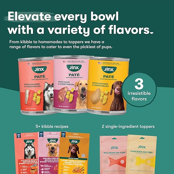 JINX PREMIUM WET DOG FOOD CANS – BEEF PATE – GRAIN-FREE CANNED DOG FOOD PATE & TOPPER WITH REAL INGREDIENTS & NO FILLERS – ALL LIFE STAGES, BREEDS & SIZES – 12-PACK, 13 OZ