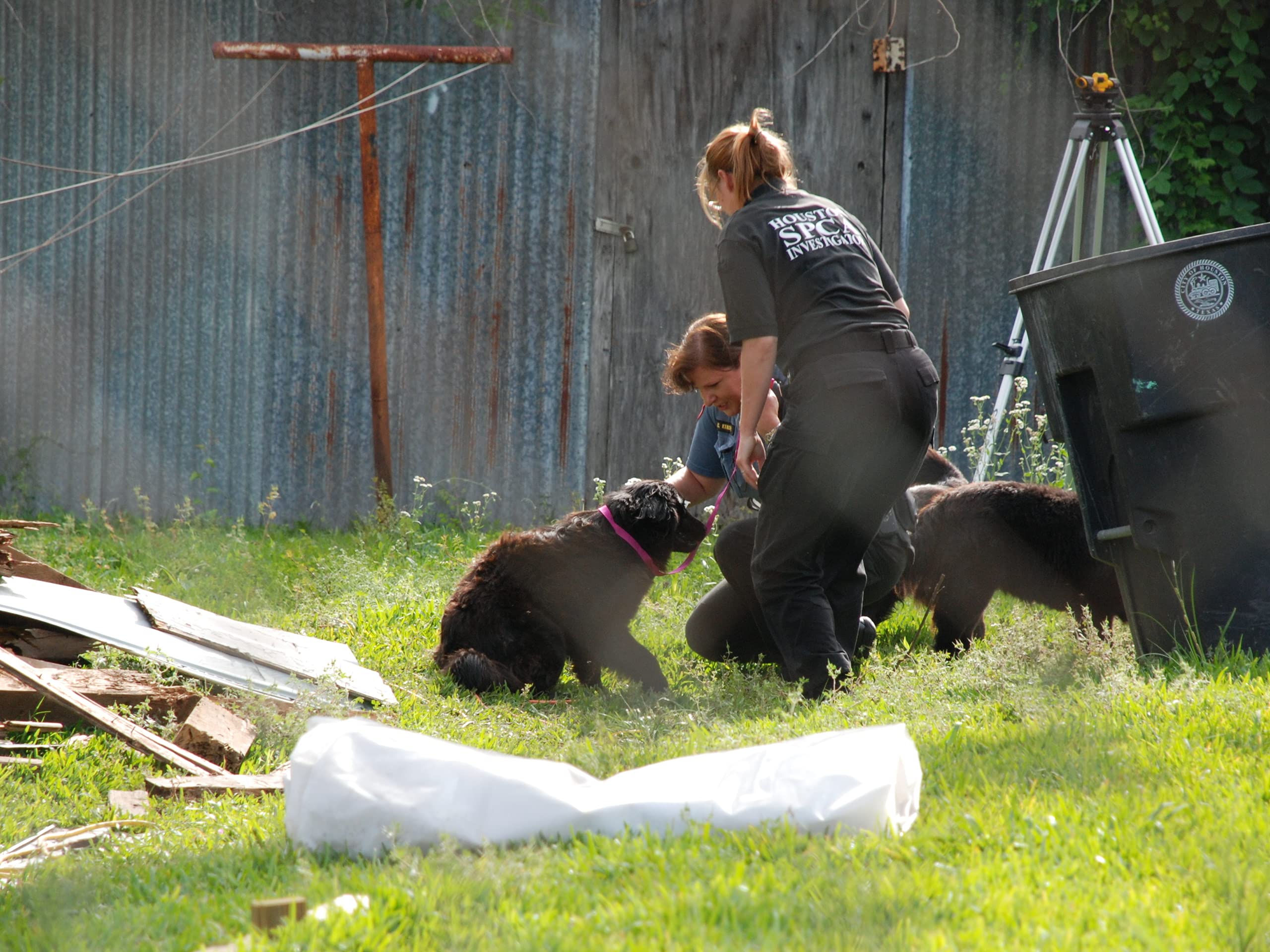 Watch Animal Cops Houston Season 4 Prime Video