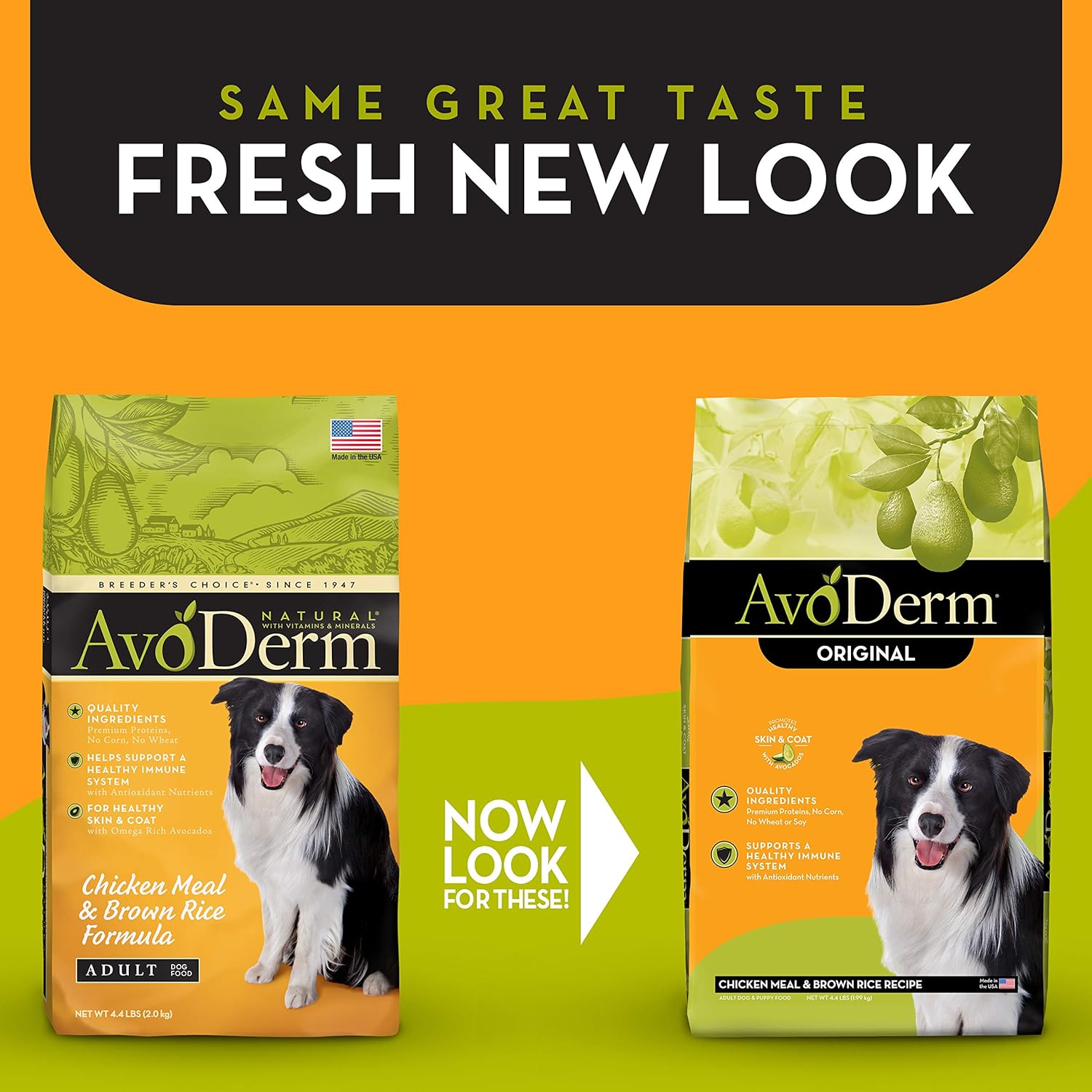 avoderm chicken and rice