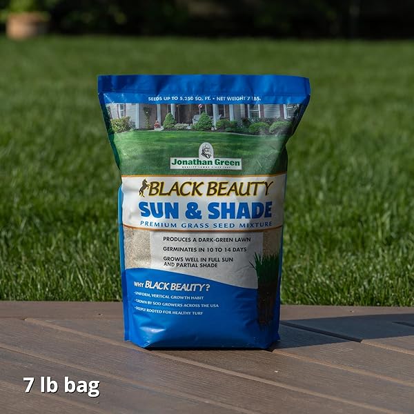 JONATHAN GREEN (12005) BLACK BEAUTY SUN & SHADE GRASS SEED – COOL SEASON LAWN SEED (7 LB)