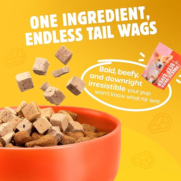 PAW BITES FREEZE DRIED DOG TREATS – BEEF LIVER WITH PROTEIN, DOG FOOD DRY SNACKS – WITH PROTEIN & OMEGA 3S – FOR ALL BREEDS & SIZES – NO ARTIFICIAL FLAVORS & DYES, NO PRESERVATIVES – 1 POUCH, 4 OZ