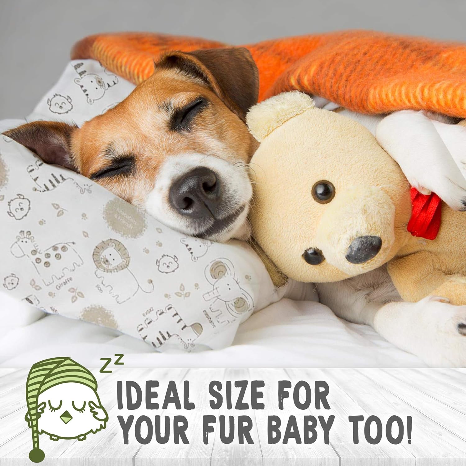 Toddler Pillow with Pillowcase - 13X18 Soft Organic Cotton Baby Pillows for Sleeping - Machine Washable - Toddlers, Kids, Infant - Perfect for Travel, Toddler Cot, Bed Set: Baby