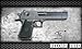 Gun Shooter