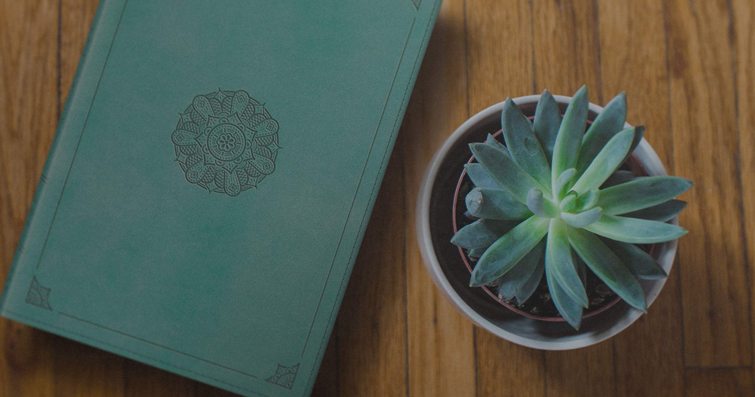 ESV Study Bible, Personal Size (TruTone, Turquoise, Emblem Design) ESV Study Bible, Personal Size (TruTone, Turquoise, Emblem Design) ESV Study Bible, Personal Size (TruTone, Turquoise, Emblem Design) Imitation Leather