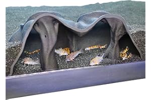 Aquarium Underground Cave Natural Mangrove Tree | Viewing Fish Under Gravel Tunnel Hide | Fish Tank Hideout Decor Decoration 