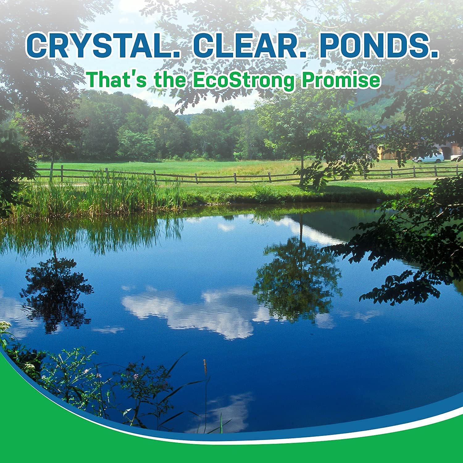 Pond Water Cleaner & Clarifier | Powerful 3 in 1 Bioactive Treatment [Treats up to 4 Million gallons]: Kitchen & Dining