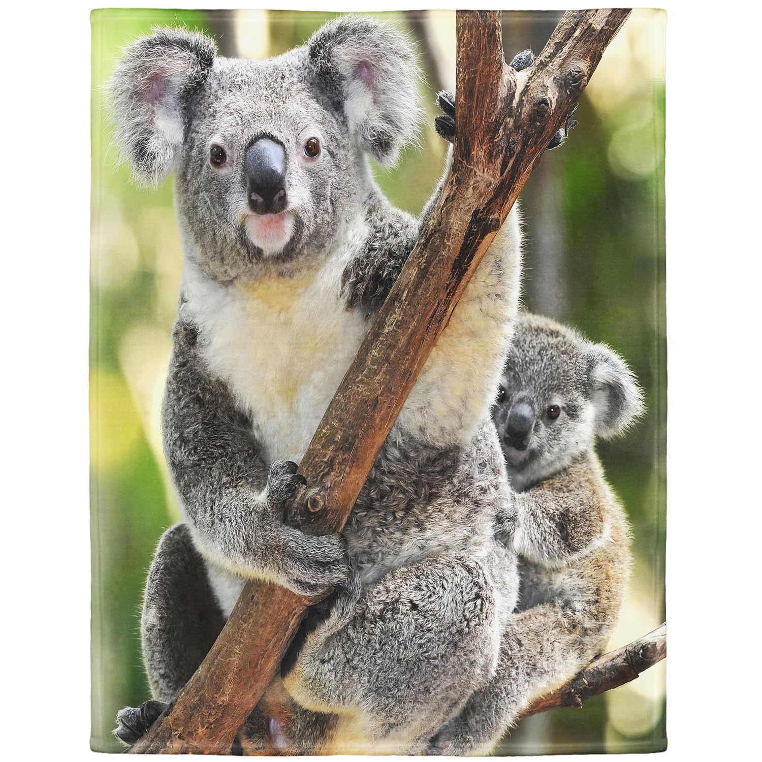 YISUMEI - Soft Fleece Blanket - Koala Bear Hold The Tree Tightly,150 x 200 cm Throw Suitable for Bed or Sofa