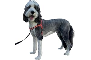 ShawnCo Dream Walk Pro Dog Harness- No-Pull, Comfortable, Adjustable, Easy to Use Pet Halter to Help Stop Pulling for Small, Medium and Large Dogs (Mustang Red, Small)
