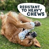 Petface Outdoor Paws Mighty Bone Dog Toy Extra Strong view 2