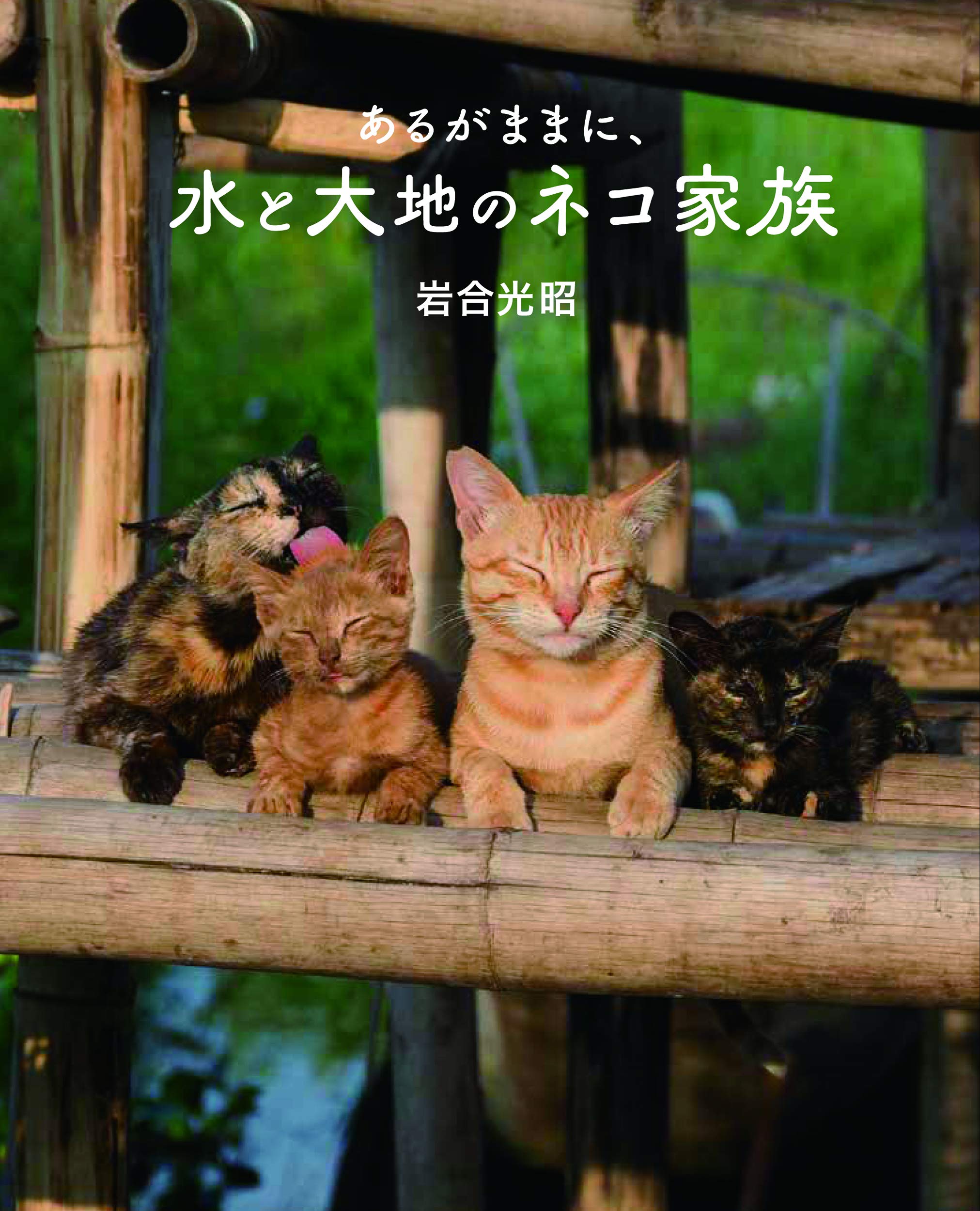 劇場版 岩合光昭の世界ネコ歩き あるがままに、水と大地のネコ家族 