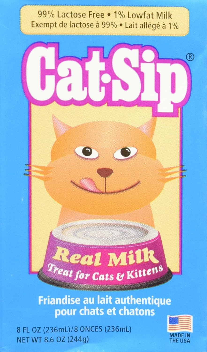 cat sip real milk