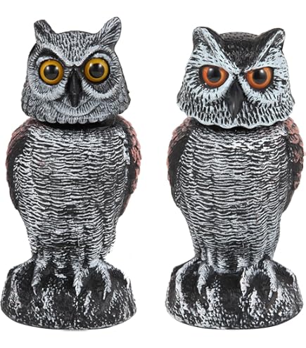 Amazon.com : Esschert Design FY18 Raven Crow Scare Decoy : Patio