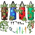 4 Piece Upside Down Strawberry & Tomato Planter - Hanging Grow Bags Kit