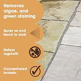 Furniture Clinic Green Growth Remover Patio Cleaner 5L makes 30L view 2