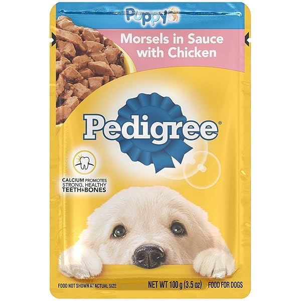 PEDIGREE CHICKEN WET DOG FOOD MORSEL IN SAUCE 3.5 OZ – 0023100119051