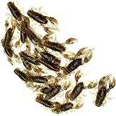 New (Qty 20) 1" Micro Craw Scented Finesse Drop Shot Crappie JIG Bluegill Brown CRAWDAD Lure Bait Fishing Equipment Set CE-0085DR