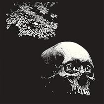 ★レア★THEE OH SEES LIVE IN SAN FRANCISCO OTEtMjU4MS5qcGVn.jpeg