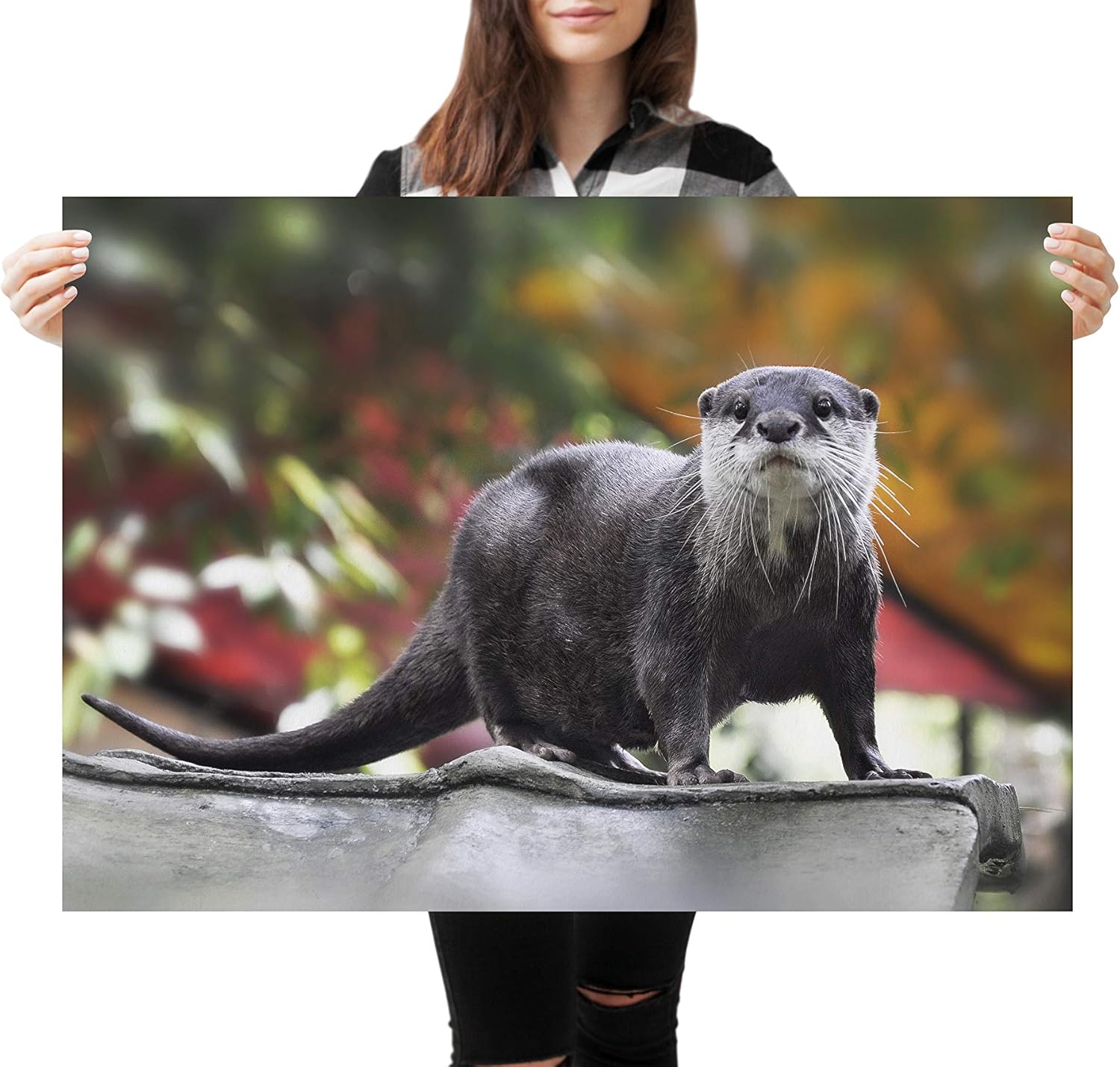 Amazon Co Jp A1 カワウソのポスターアートプリント60 90センチメートル180gsm野生動物かわいい川ギフト ホーム キッチン