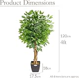 CHRISTOW Artificial Ficus Tree 4ft with PEVA Leaves Natural Trunk view 7