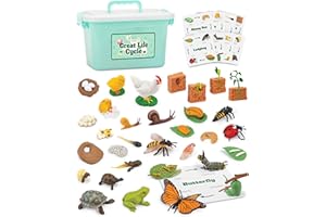 GLINGLONG Life Cycle Science Kit Montessori Realistic Figurine, Kids Animal Matching Game with Frog, Ladybug and More Includes 32-Piece, Fun Learning Education Toys Stocking Stuffers for Children 3 4 5 6 7 8