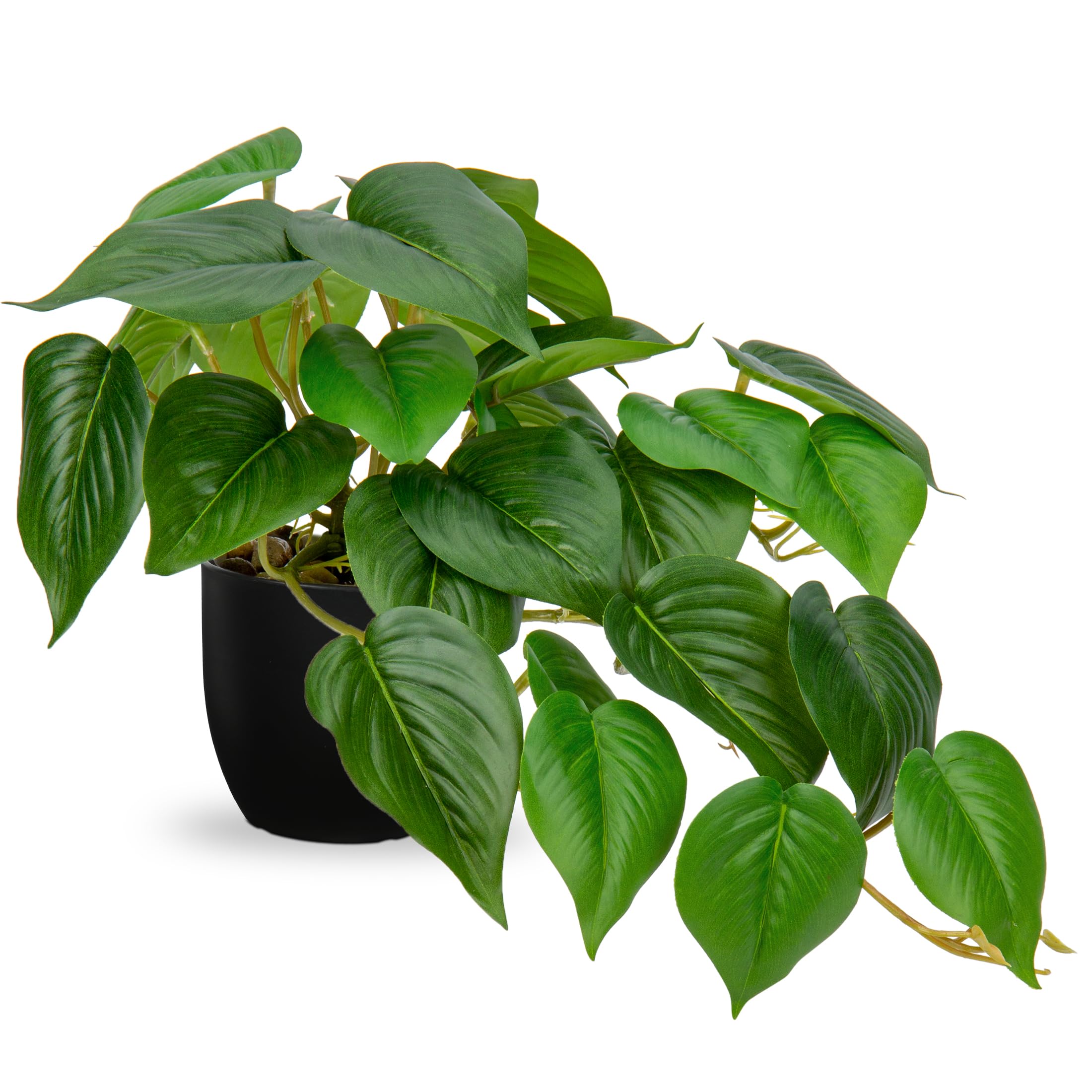 Hollyone Artificial Plants in Black Pots, Fake Jade Pothos Decorative Faux Potted Plants, Realistic House Plant Indoor for Home Décor, Bathroom, Living Room, Kitchen, Shelf, Office Decorations