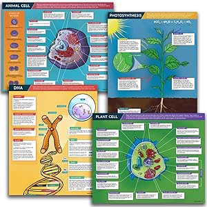 Science Posters for Classroom Decoration - 4 Biology Charts include DNA Poster, Photosynthesis, Plant Cell and Animal Cell.