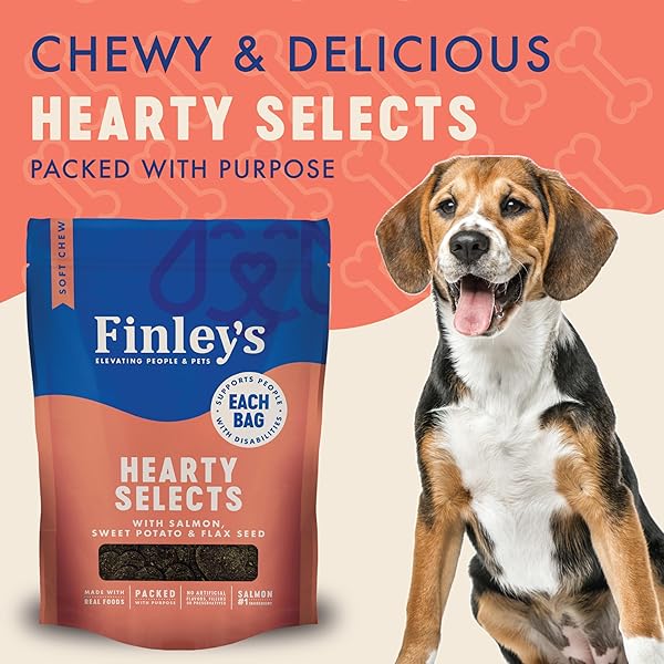 FINLEY’S HEARTY BITES, SOFT SALMON DOG TREATS, NUTRIENT PACKED WITH SWEET POTATO AND FLAXSEED, 12OZ, 1 PACK