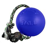 Jolly Pets Romp-N-Roll Rope &amp; Ball Dog Toy, 8 in Large, Blue | Rope-and-ball fetch toy in tough JollyFlex - won't deflate if punctured, floats, made in USA