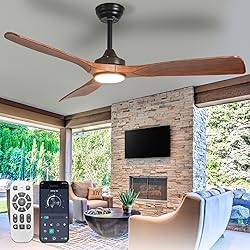 BvenuBigLite Outdoor Ceiling Fan with Light: 52