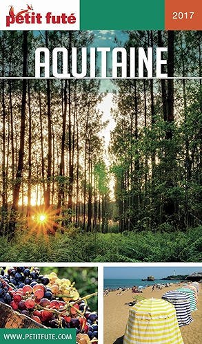 Download AQUITAINE 2017 Petit Futé (GUIDES REGION) PDF