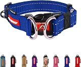 EzyDog Double Up Dog Collar Reflective Nylon Large Blue