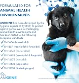 ANIGENE Surface Disinfectant Cleaner Byotrol 5 L Apple Scent UK Made view 9
