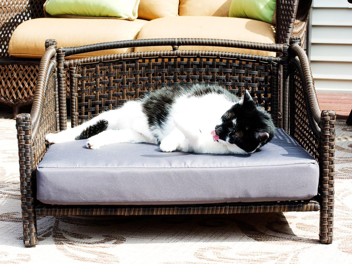 Maharaja Rattan Pet Day Bed, Indoor/Outdoor : Pet Supplies
