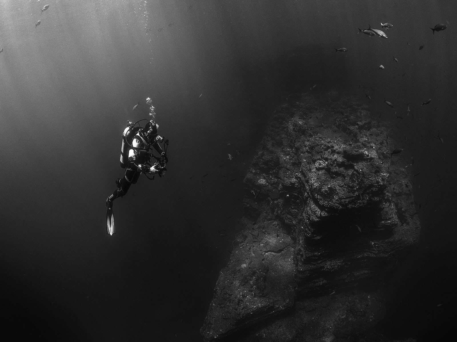 Scuba Poster Scuba Art Scuba Diving Reef Diving Snorkling 18x24