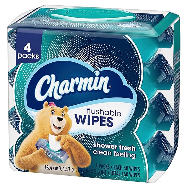 CHARMIN FLUSHABLE WIPES, 160 TOTAL WIPES (4 PACKS OF 40)