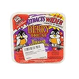 C&S Berry Suet Treat 11.75 Ounces, 12 Pack