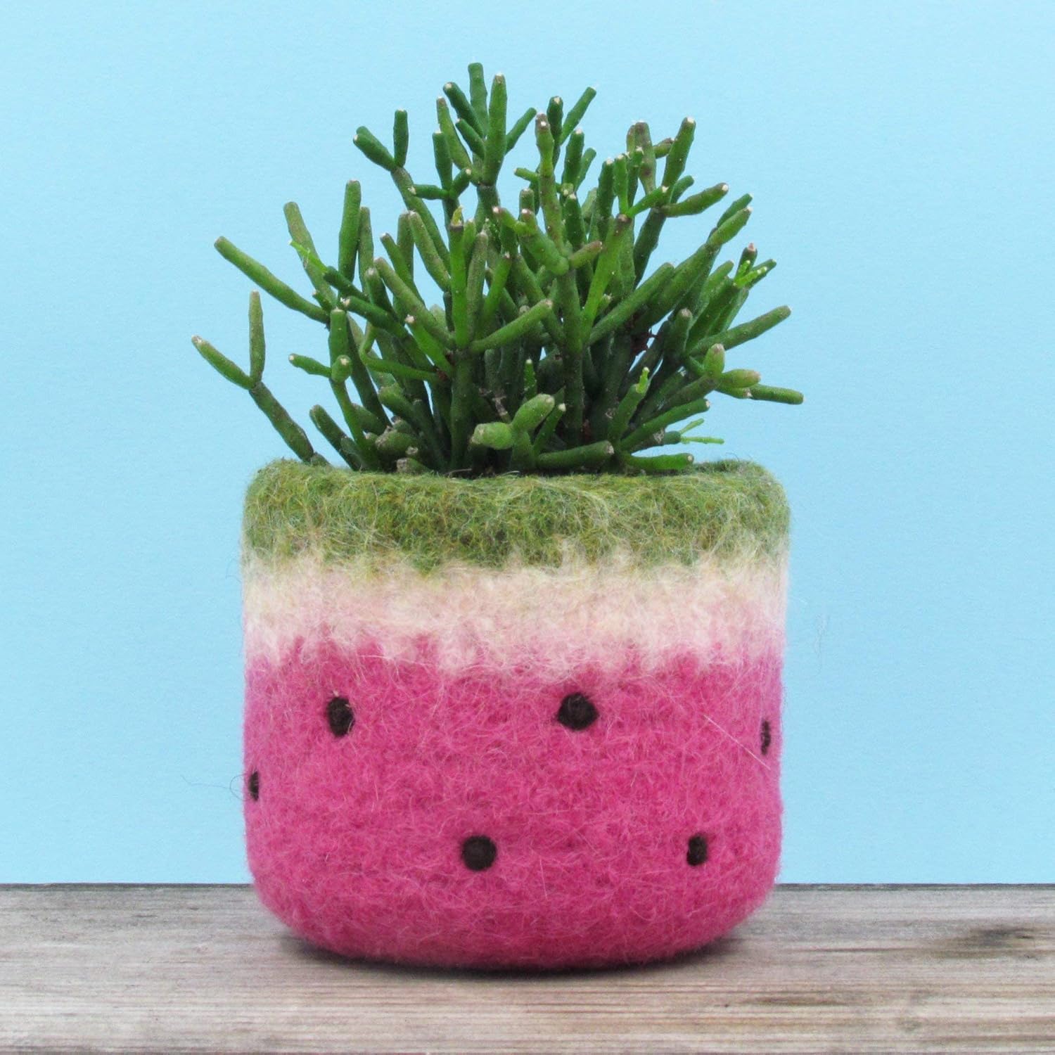 Amazon Com Felt Vase Cactus Vase Watermelon Planter Pink