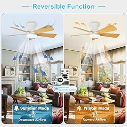 Depuley Modern Ceiling Fan with Light: 35-Inch
