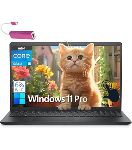 Amazon.com: Dell - Inspiron 15.6