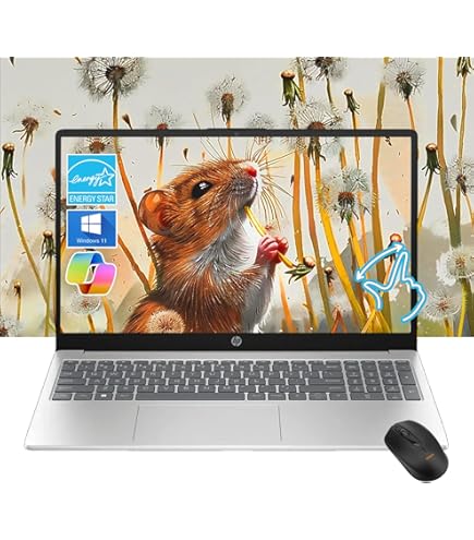 Amazon.com: HP 15.6