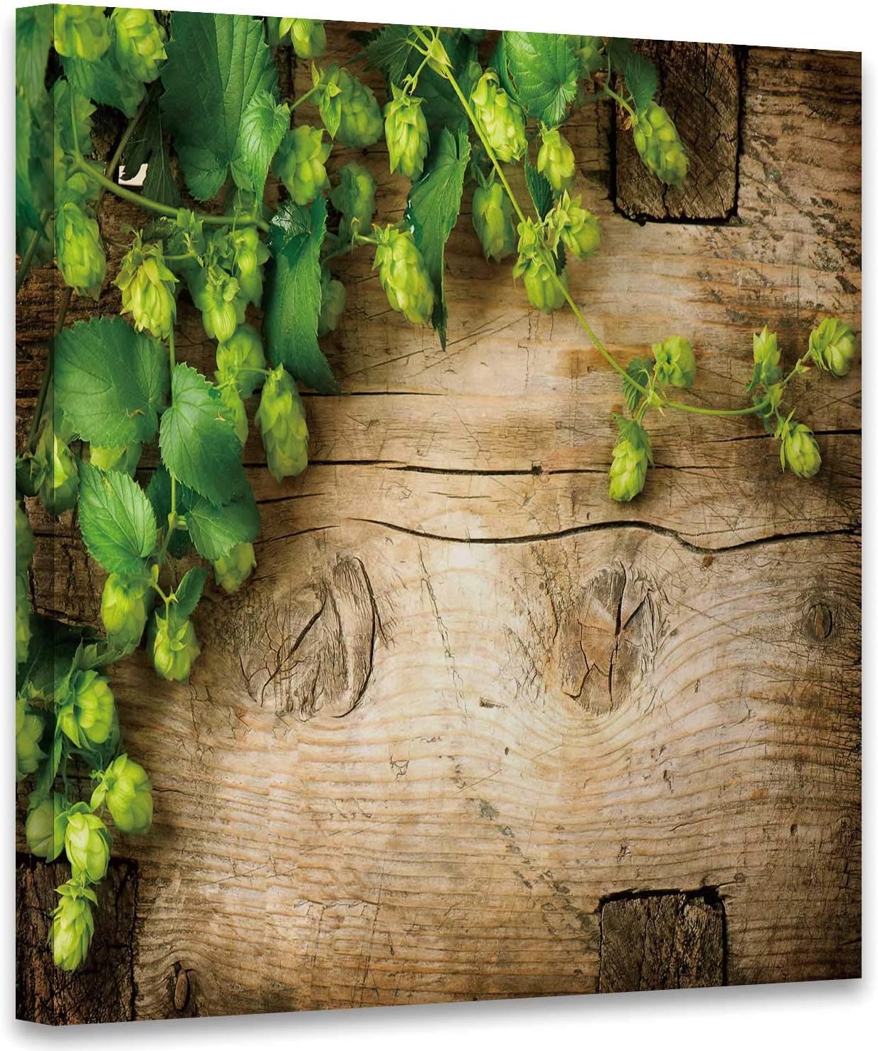 Amazon Com Hop Twig Over Old Wooden Table Background Style Beer Production Ingredient Brewery Fresh Picked Whole Hops Close Up Brewing Concept Wallpaper Art Print For Kitchen Art Print For Living Room 19x19in Posters Prints