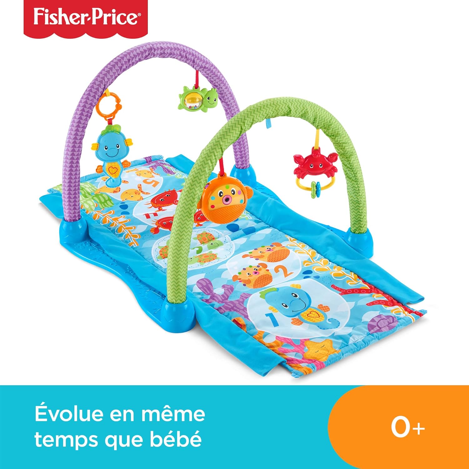Fisher Price Tapis Musical D Eveil Et D Activites 2 En 1 Hippocampe Pour Bebe Jouets Animaux Marins Suspendus Tunnel A Traverser Des La Naissance Drd92 Exclusif Amazon Amazon Fr Bebes Puericulture