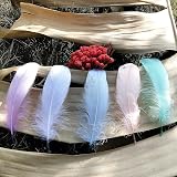 TYEQWT 400 Pcs Morandi Light Feathers for Crafts, Wedding Ornament, Mask view 9
