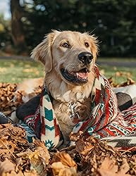 Inca Aztec Throw, Queen, King Blanket | Southwest