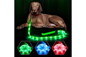 BSEEN Light Up Dog Leash, 4Ft LED Dog Leash Rechargeable Reflective Dog Lead Glowing Safety Dog Lights for Night Walking (Green Ⅱ, 120cm)