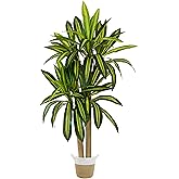 Warmplants Artificial Dracaena Tree, 5ft Tall Fake Dracaena Plant with Basket, Indoor Outdoor Faux Topiary Yucca Trees for Office Home Living Room Porch Patio Décor