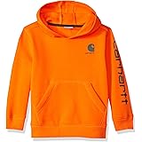 kids carhartt hoodie